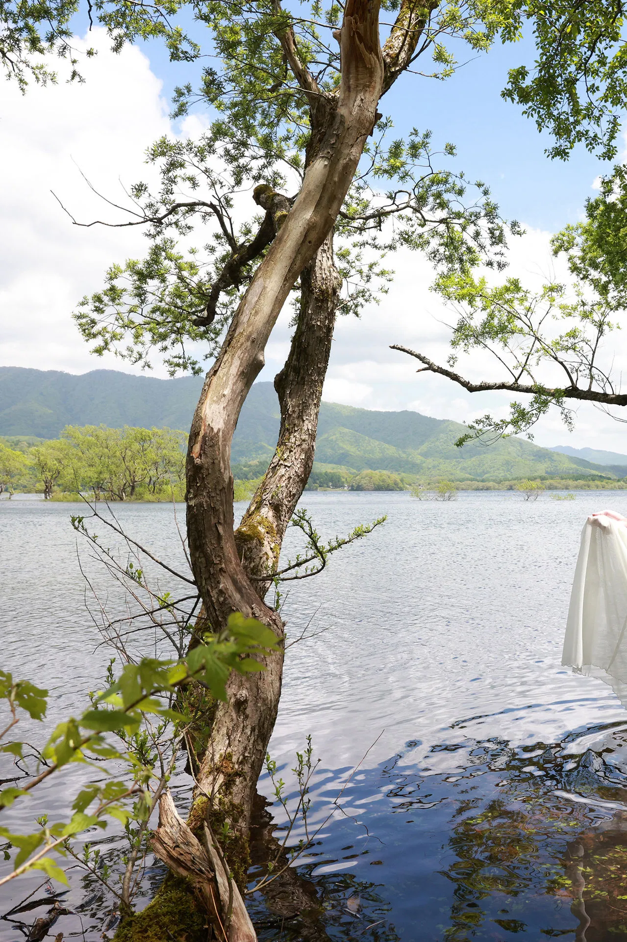 FRIDAYデジタル写真集 塩地美澄 Ｎｏｃｔｕｒｎｅ　オール未公開スペシャルＥｄｉｔｉｏｎ　ｖｏｌ．２